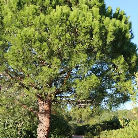 Casa Mia Apartahotel Porto Vecchio