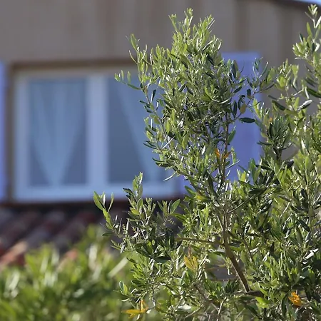 Casa Mia *